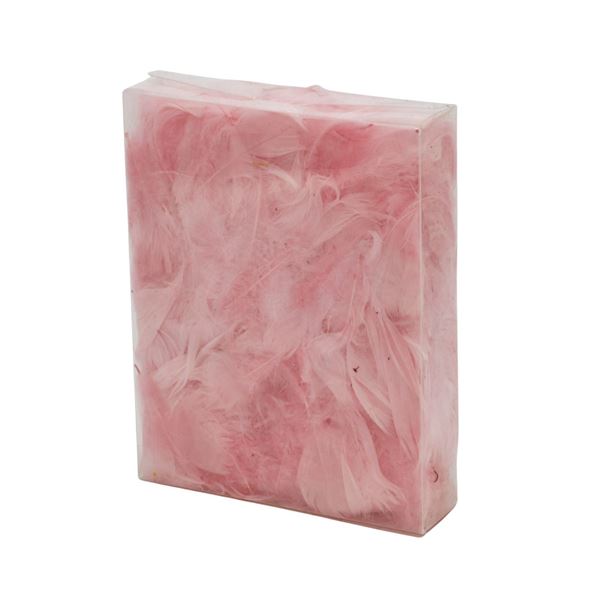 Bild von Federn 'gefärbt' in Box à 20gr rosa
