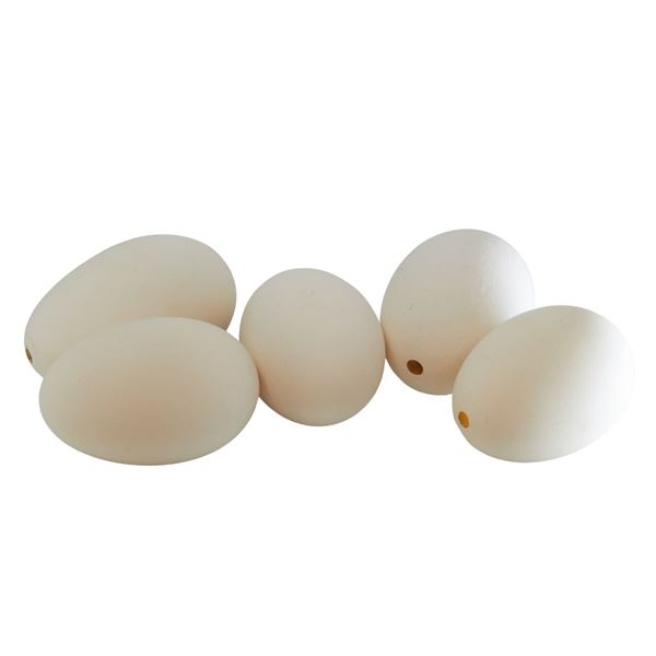Image sur œufs d'oies 'soufflés' 12 pièces