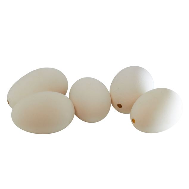 Image de œufs d'oies 'soufflés' 12 pièces