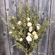 Bouquet natur Trockenblumenstrauss mit Strohblumen cremeweiss