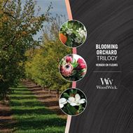 Bild von Blooming Orchard Trilogy Ellipse