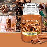 Image sur Cinnamon Stick Medium Jar
