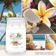 Bild von Coconut Beach Signature Medium Jar