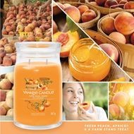 Bild von Farm Fresh Peach Signature Medium Jar