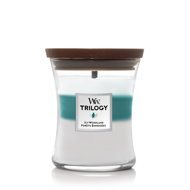 Bild von Icy Woodland Trilogy Medium Jar