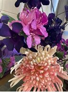 Bild von Chrysantheme pink 78cm