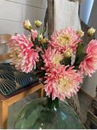 Bild von Chrysantheme rosa 78cm