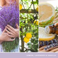 Bild von Lemon Lavender medium Jar (mittel)