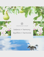 Image sur Équilibre + Harmonie 3-Wick Tumbler