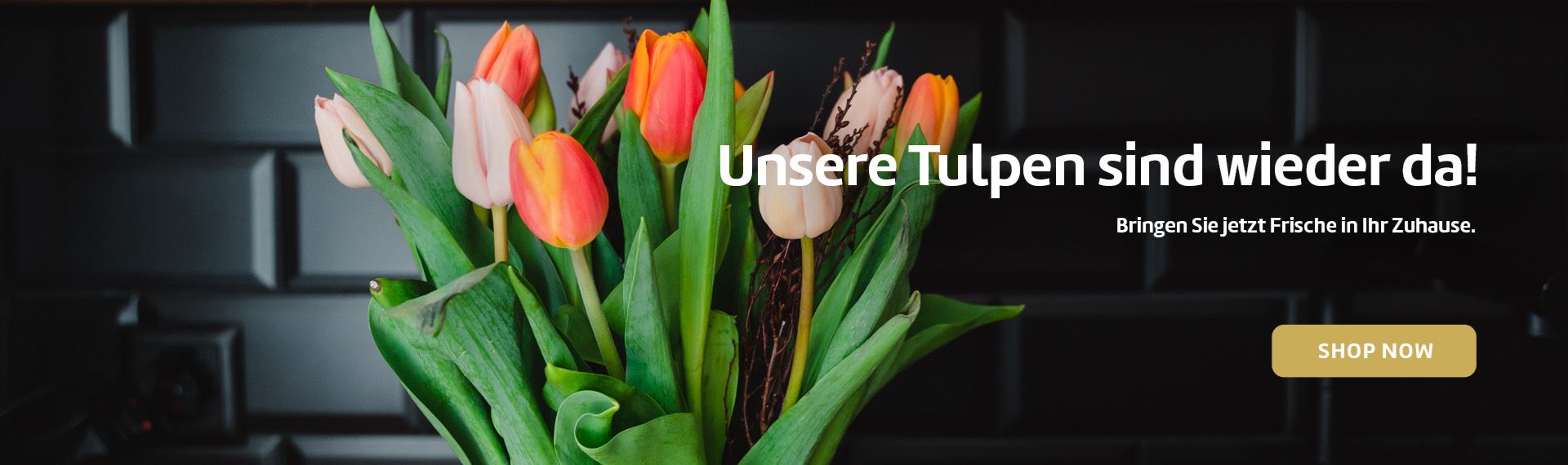 Unsere Tulpen sind wieder da! Bringen Sie jetzt Frische in Ihr Zuhause.