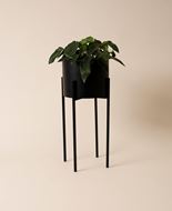 Image sur Pot sur pied / pot de fleurs avec pieds en métal, noir mat
