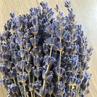 Bild von Lavendel Bund von Merci Lavande Blau