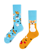 Image sur Playful Dog Socks