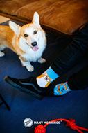 Image sur Playful Dog Socks