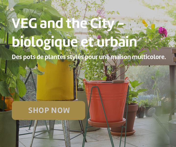 VEG and the City - biologique et urbain  Des pots de plantes stylés pour une maison multicolore. 