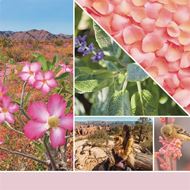 Bild von Desert Blooms Signature Large Tumbler
