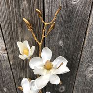 Edler Magnolienzweig (Textilblume) mit weissen Blüten