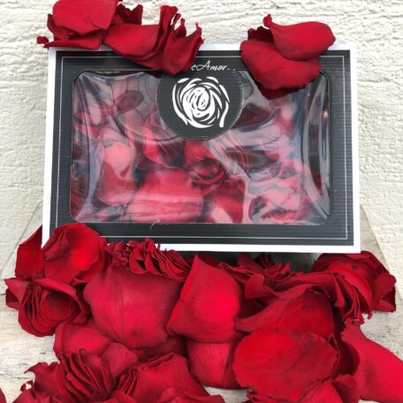 Echte rote stabilisierte Rosenblüten - Rosenblätter zum Streuen