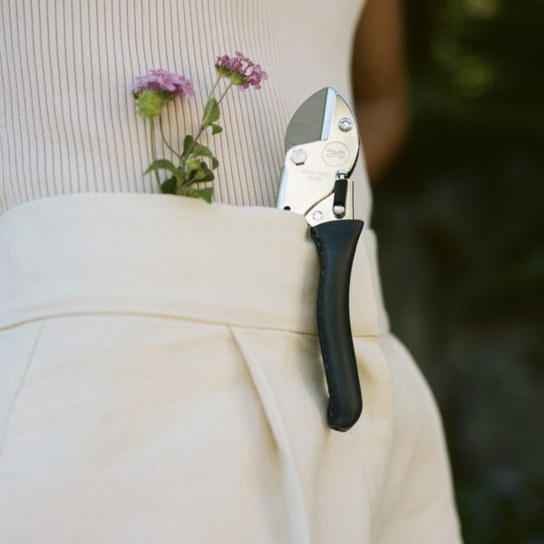 Chop Chop Bloom sécateur - Blue Poppy