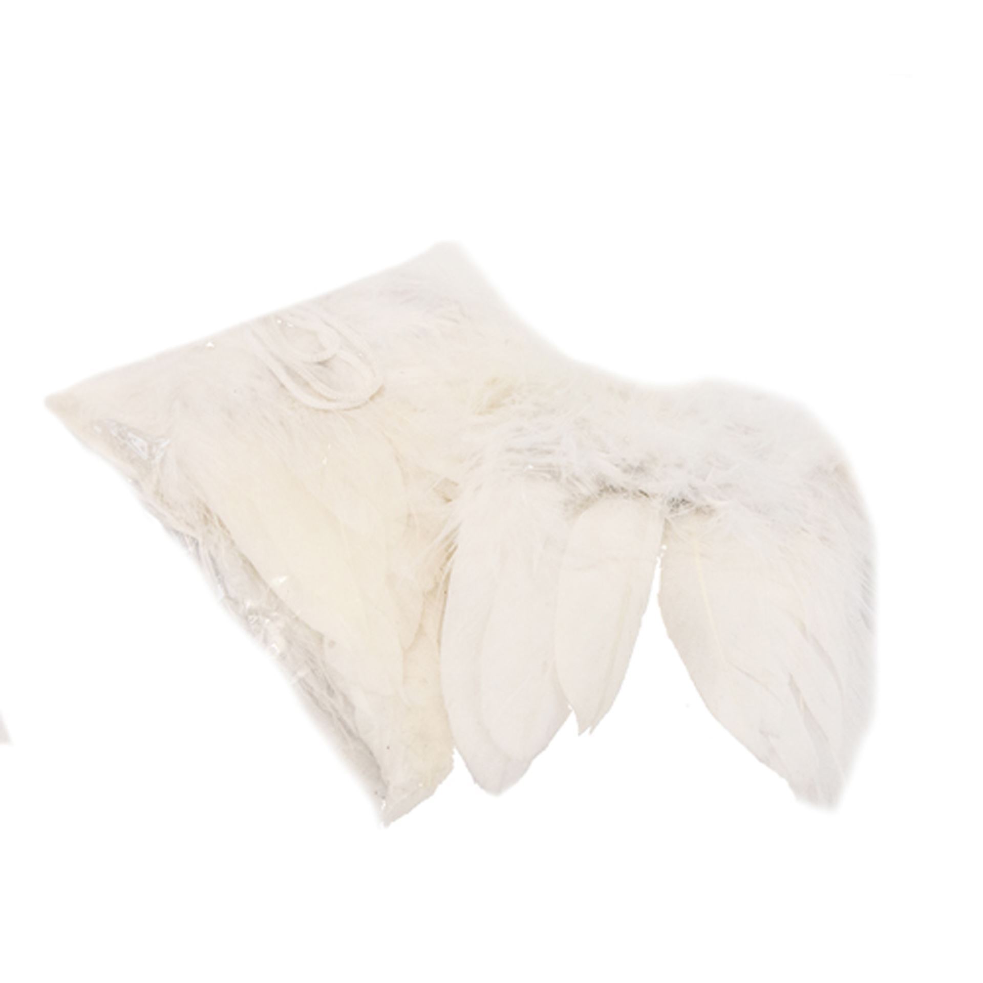 Ailes d'ange moyennes, 5 cm, 6 pcs.