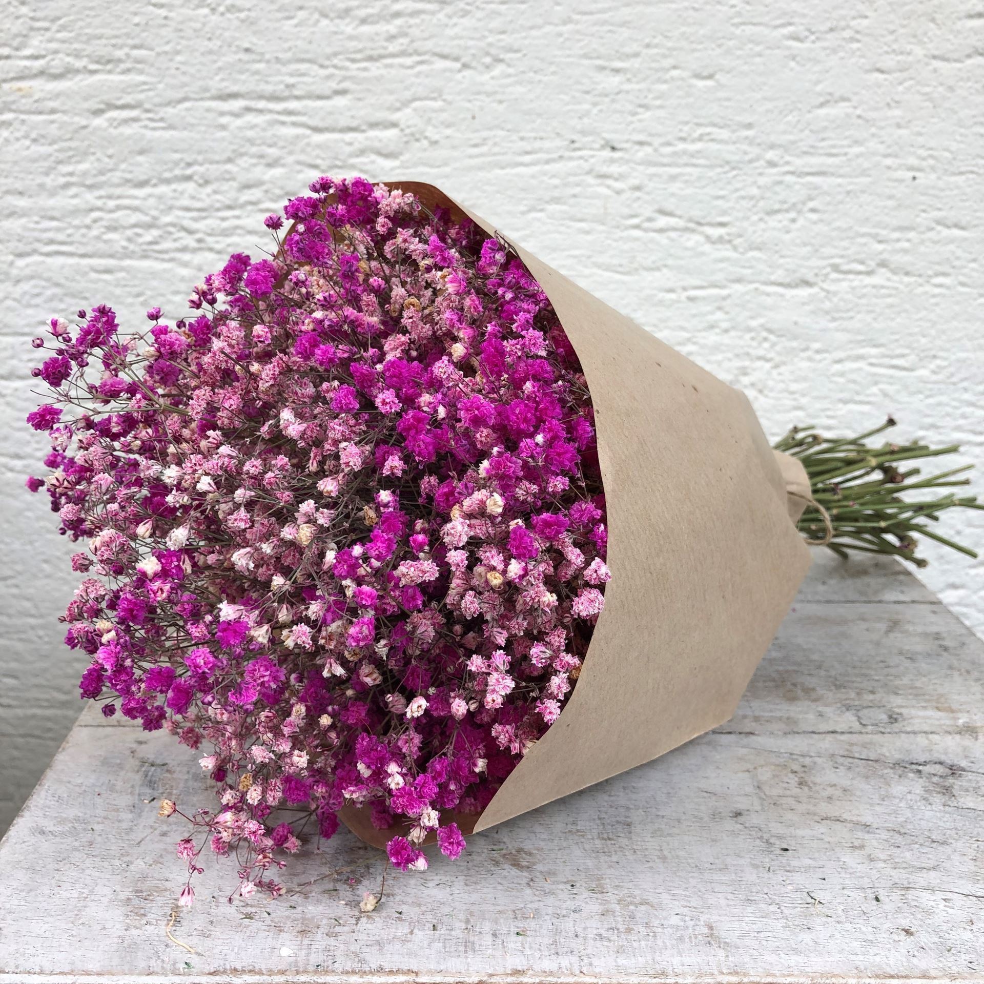 Trockenblumen Strauss Schleierkraut 