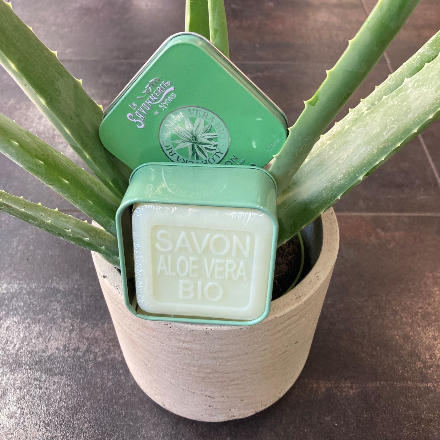 Boîte en métal & savon bio à l'aloe vera