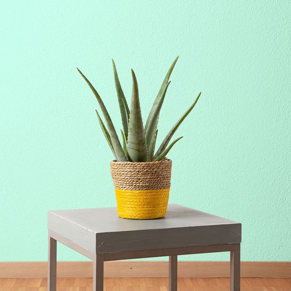 Cache-pot Cali, 18 x 18 cm