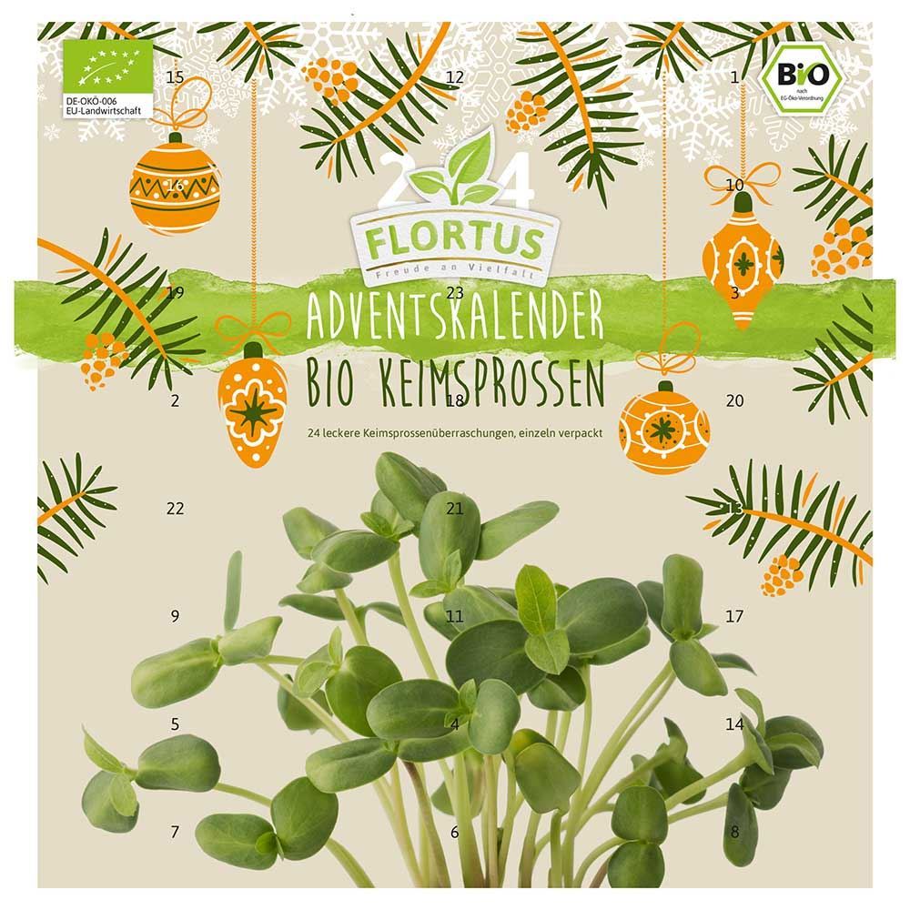 Calendrier de l'Avent