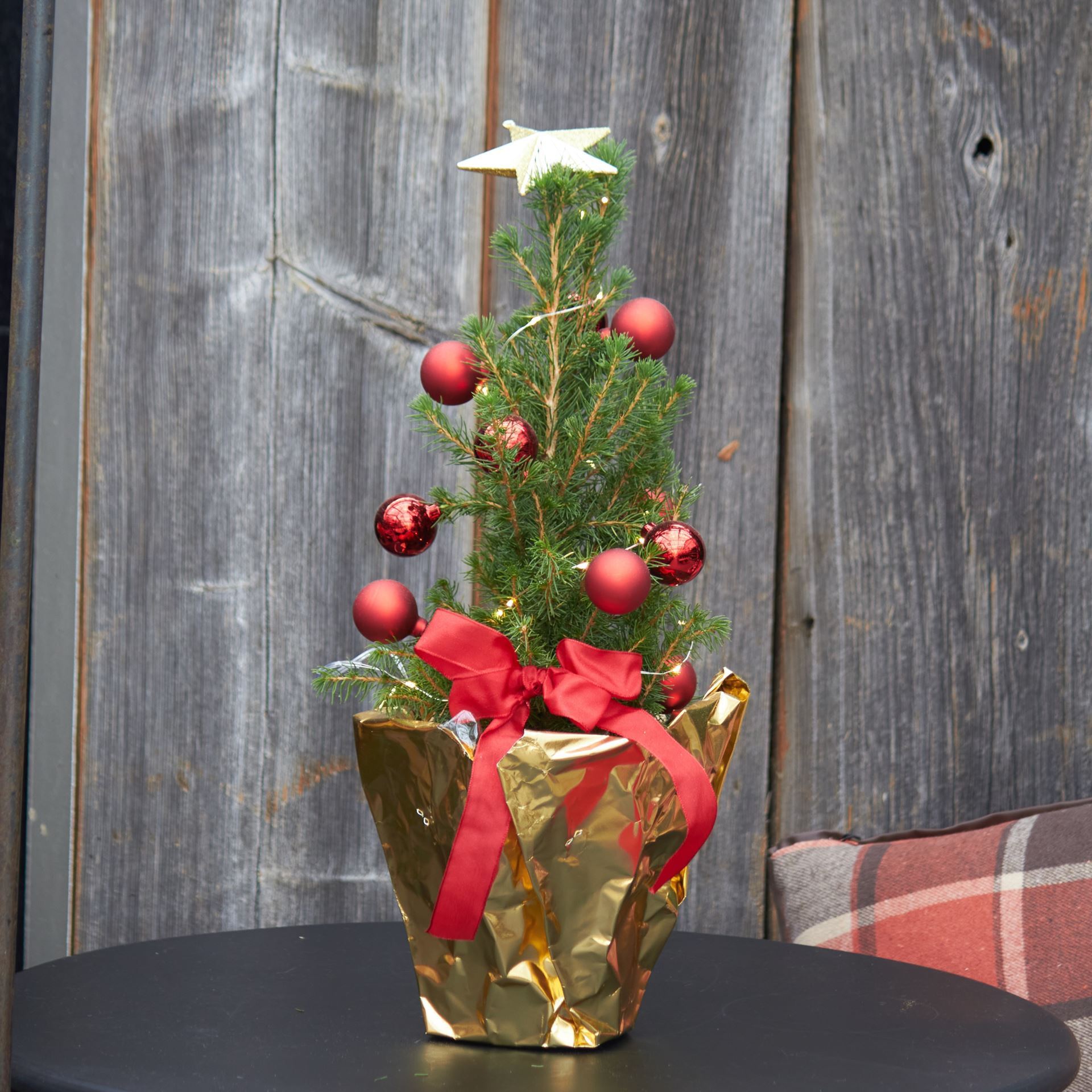 Kleiner Weihnachtsbaum ca. 55cm