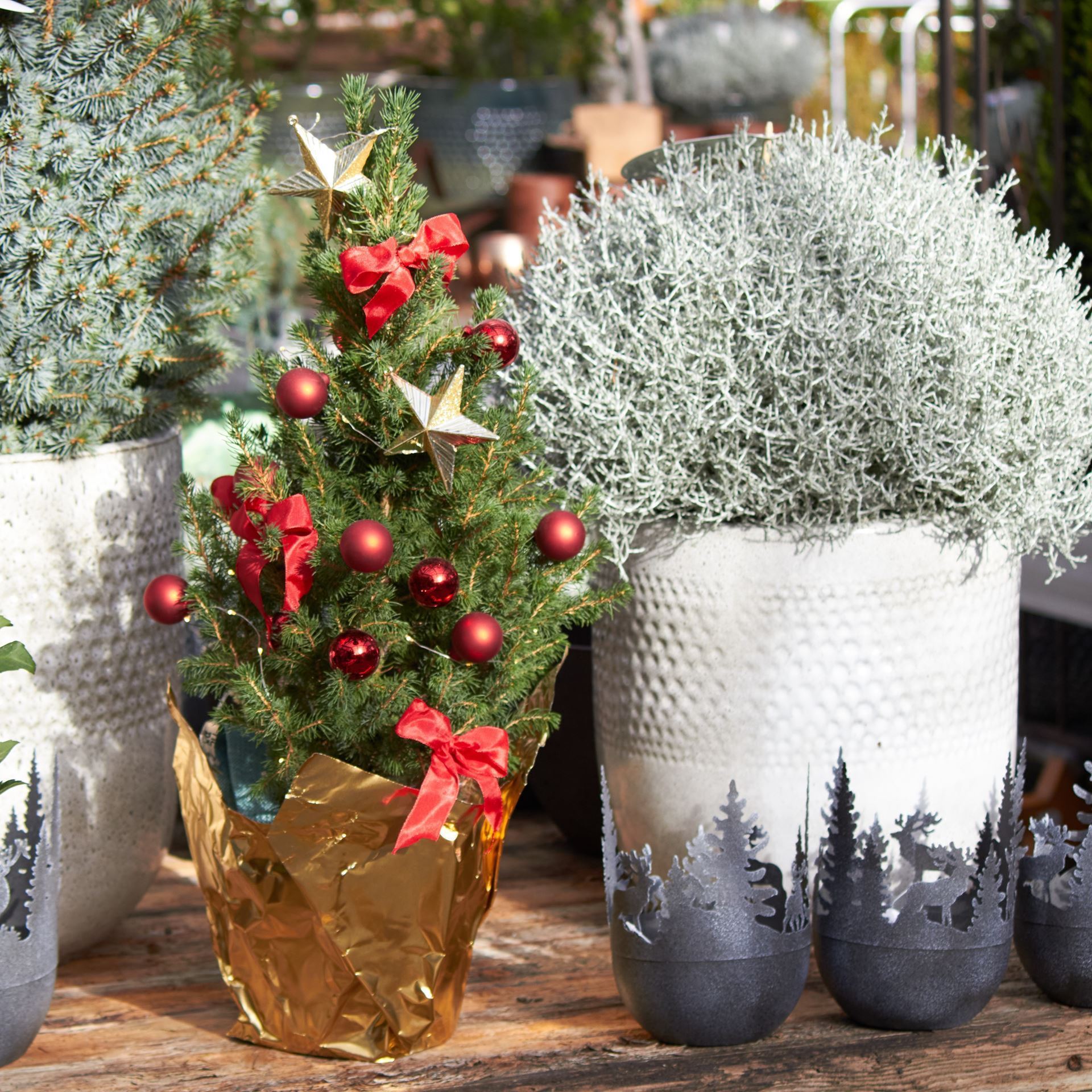 Kleiner Weihnachtsbaum ca. 70cm