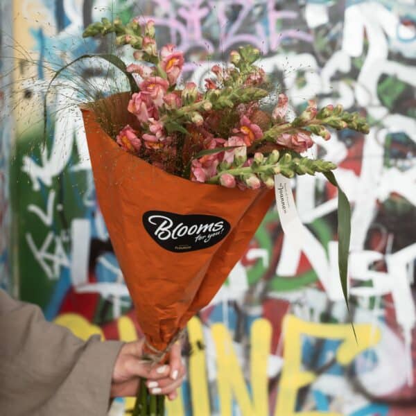 Blooms for you «Joanne» - Bild 7