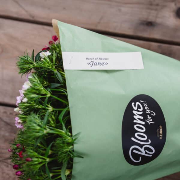 Blooms for you «Jane» - Bild 5