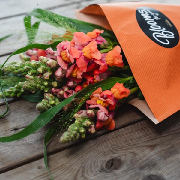 Blooms for you «Joanne» - Bild 6