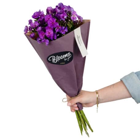 Blooms for you «Eleanor»