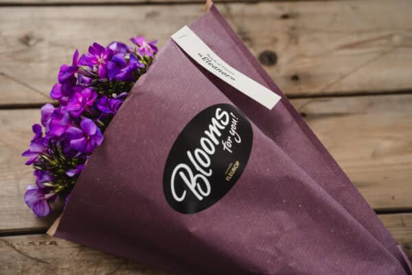 Blooms for you «Eleanor» - Bild 5