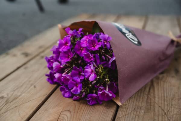 Blooms for you «Eleanor» - Bild 8