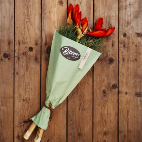 Blooms for you «Philippa»