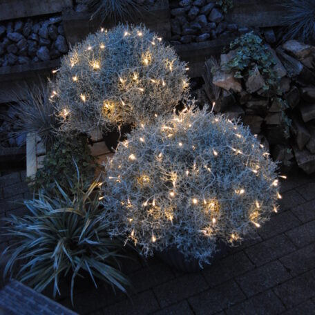 Tête d'argent avec guirlande lumineuse