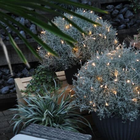 Tête d'argent avec guirlande lumineuse