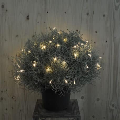 Tête d'argent avec guirlande lumineuse