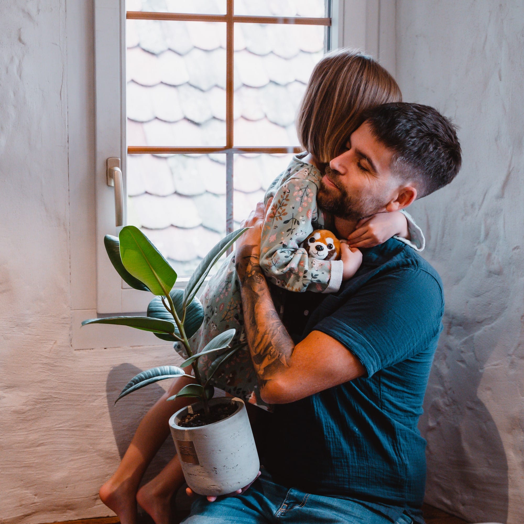 Das ist Alfred (Ficus elastica 'Robusta') – Image 3