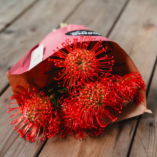 Blooms for you «Tina» – Image 7