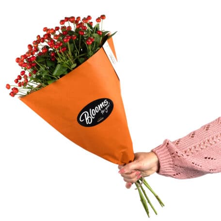 Blooms for you "Vera