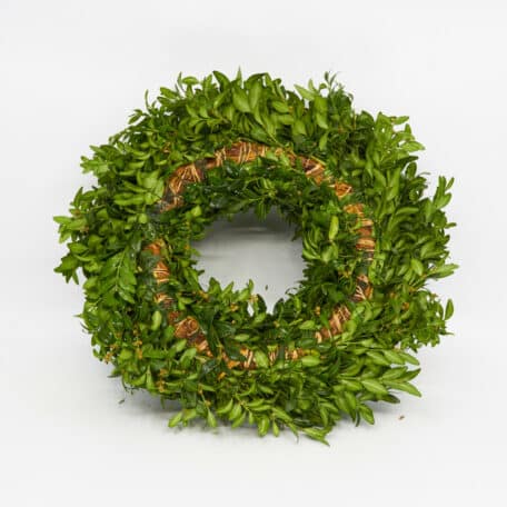 Couronne liée 'buchs' Ø35 cm