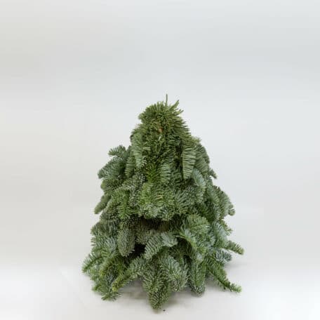 Weihnachtsbaum 'Nobilis' handgebunden höhe 30cm