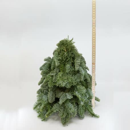 Weihnachtsbaum 'Nobilis' handgebunden höhe 30cm