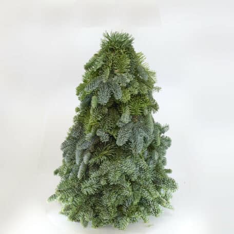Weihnachtsbaum 'Nobilis' handgebunden höhe 50cm