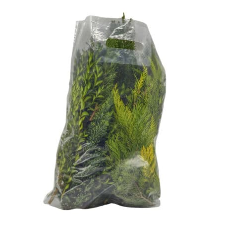 Wintergrün-Tasche 'Koniferen-Mix'