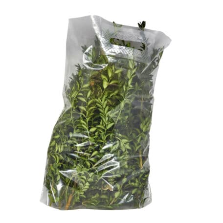 Wintergrün-Tasche 'Buchs-Pur'