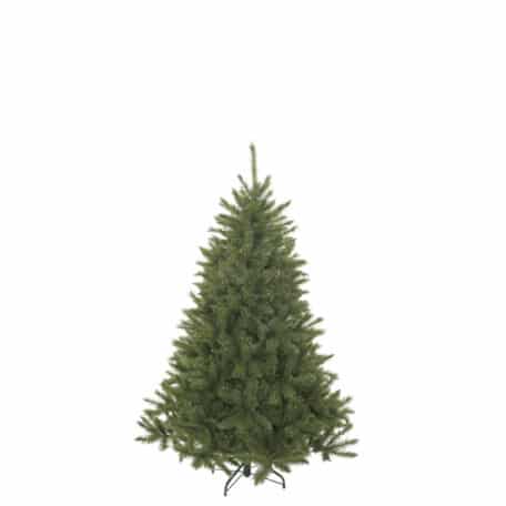 Weihnachtsbaum 'Bristlecone' Höhe 155cm - d99cm